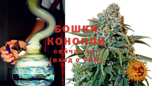 PSILOCYBIN Нягань