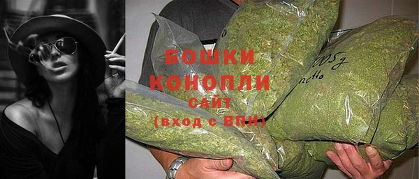 PSILOCYBIN Нягань