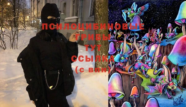 PSILOCYBIN Нягань