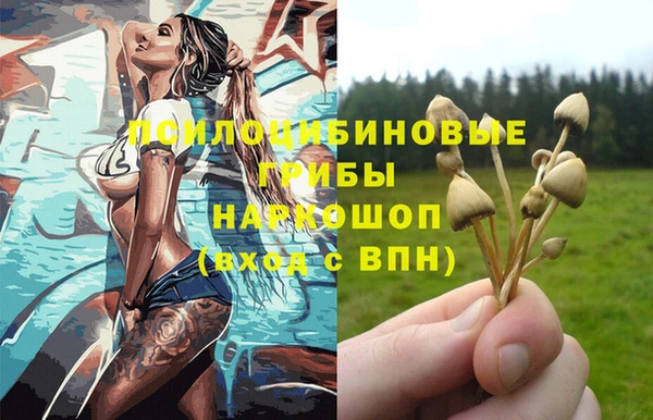 Альфа ПВП Нязепетровск